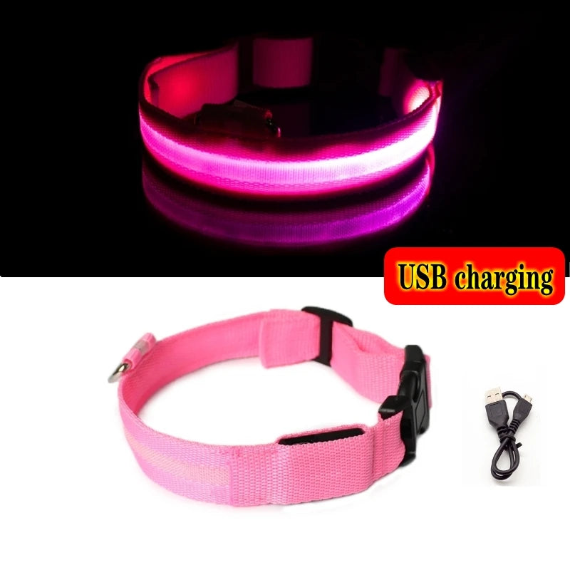 LED Glow In The Dark Dog Collar