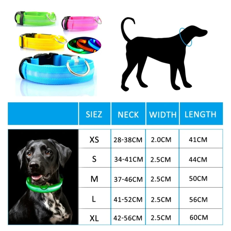 LED Glow In The Dark Dog Collar