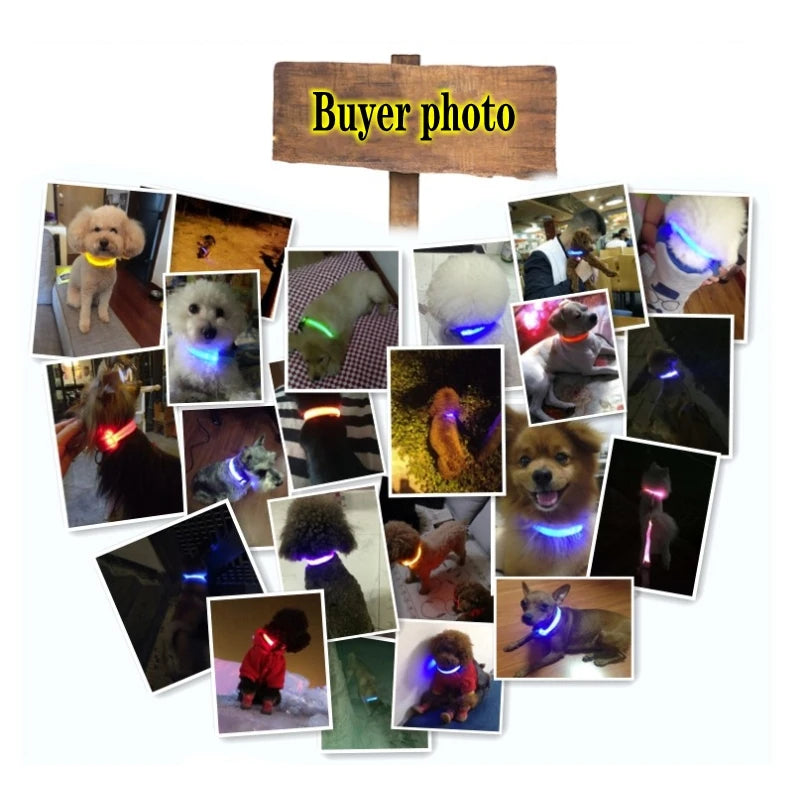 LED Glow In The Dark Dog Collar