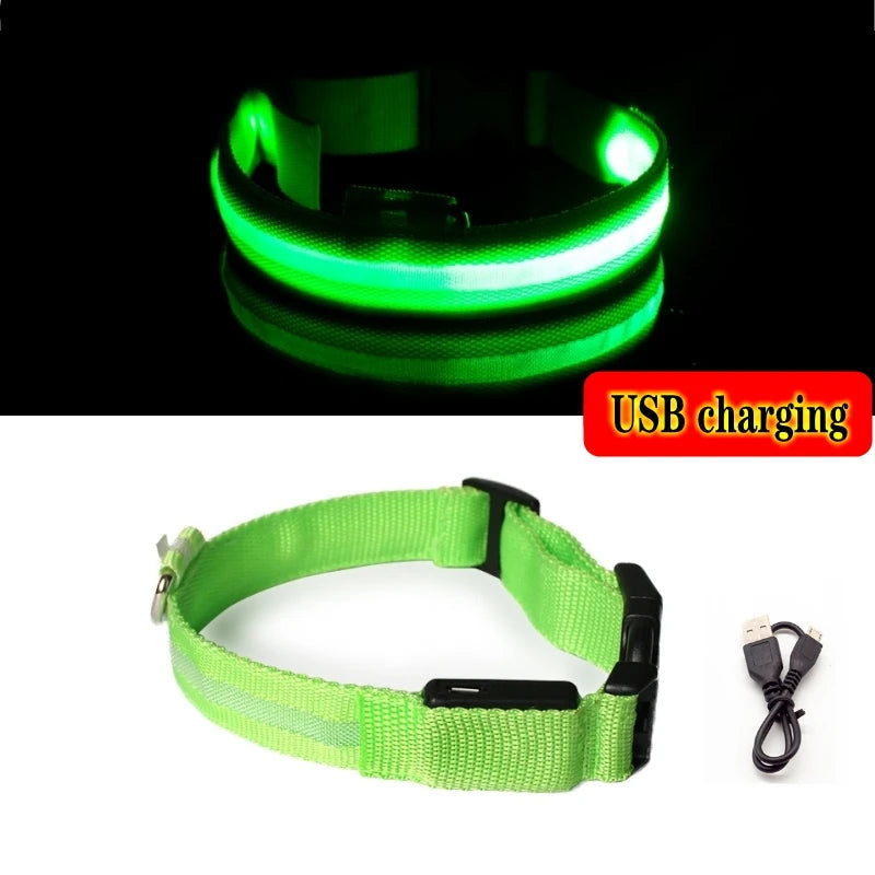LED Glow In The Dark Dog Collar