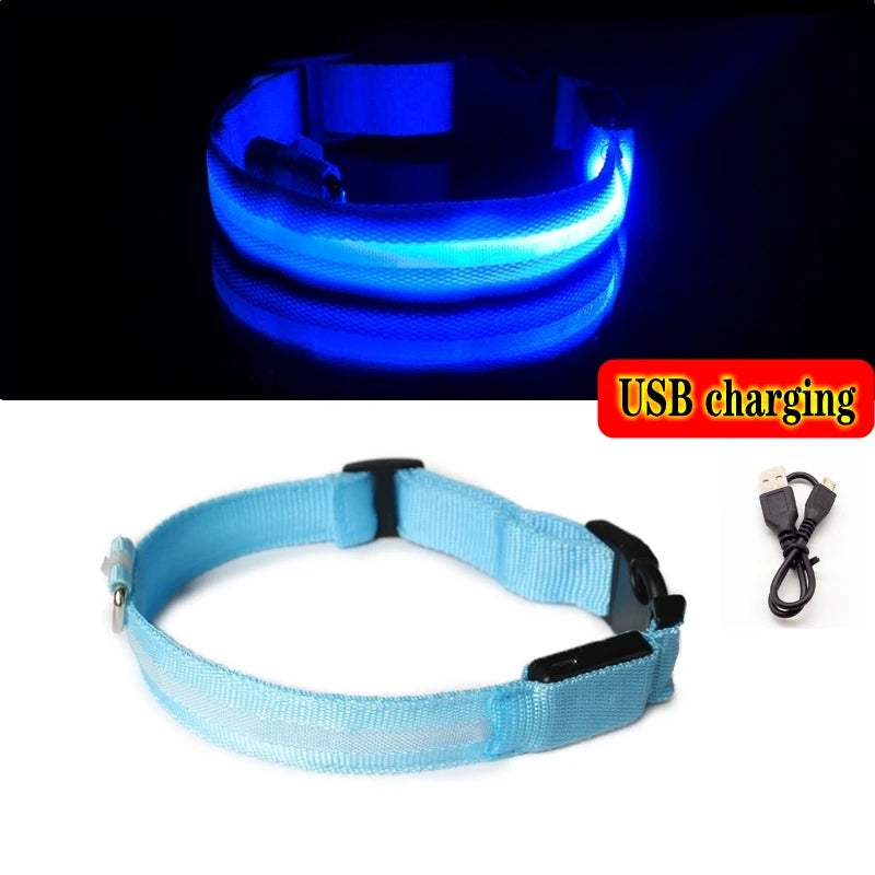 LED Glow In The Dark Dog Collar