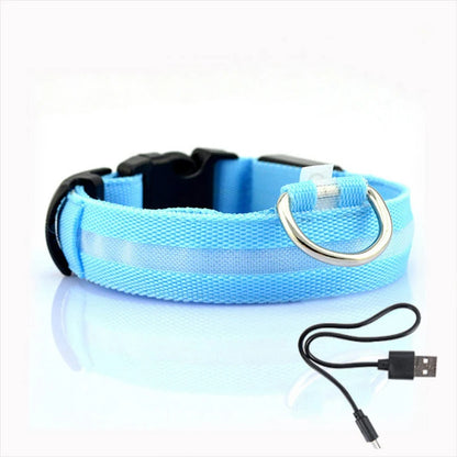 LED Glow In The Dark Dog Collar