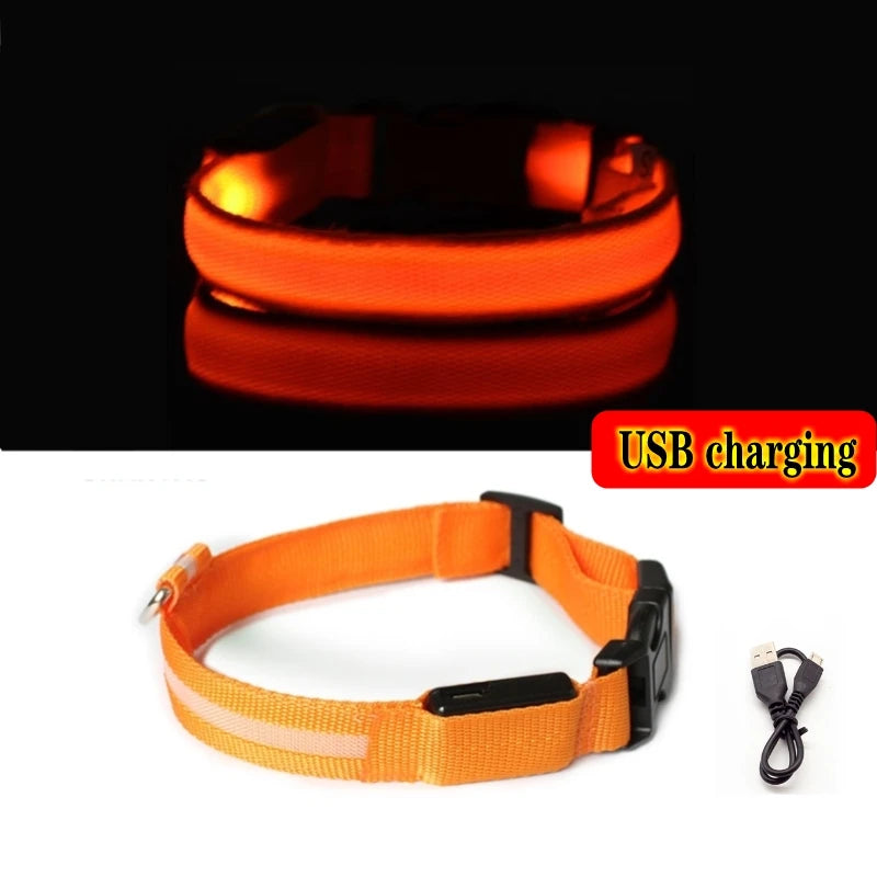 LED Glow In The Dark Dog Collar
