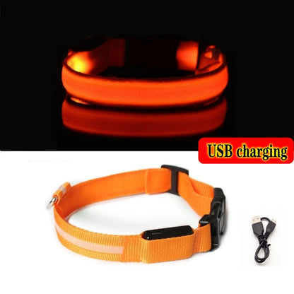 LED Glow In The Dark Dog Collar