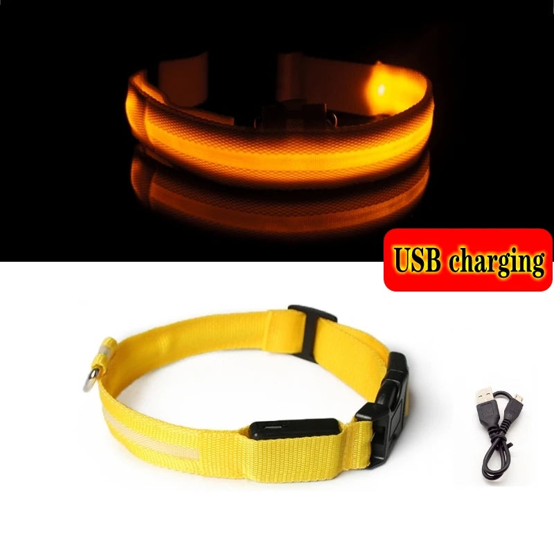 LED Glow In The Dark Dog Collar