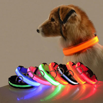 LED Glow In The Dark Dog Collar