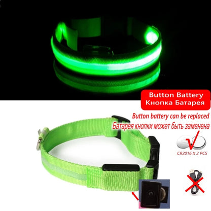 LED Glow In The Dark Dog Collar