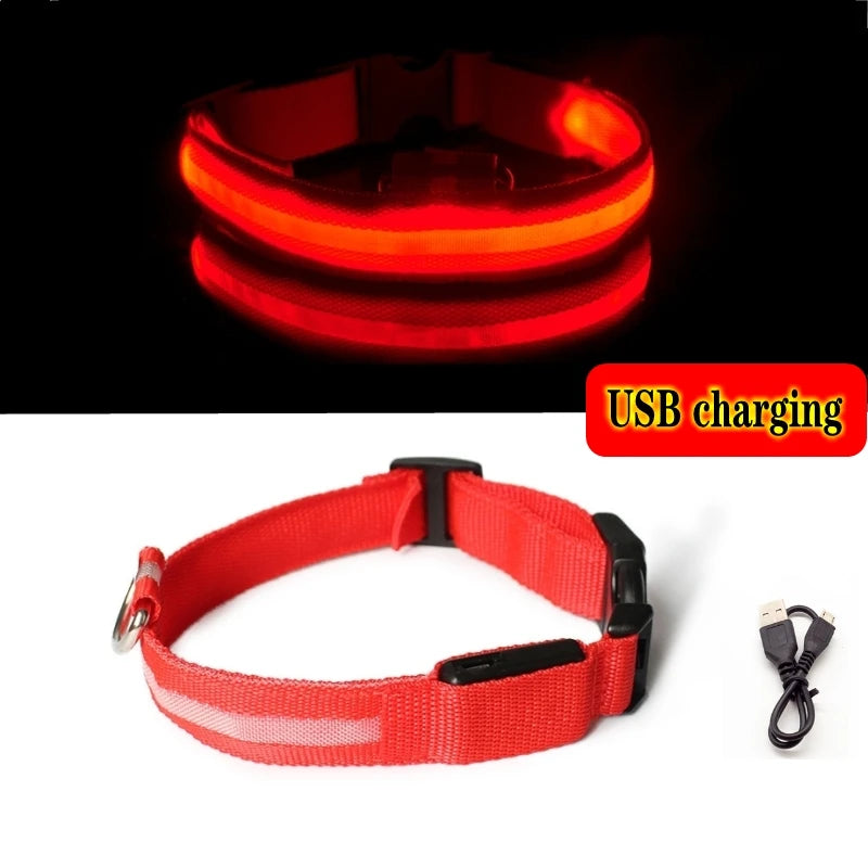 LED Glow In The Dark Dog Collar