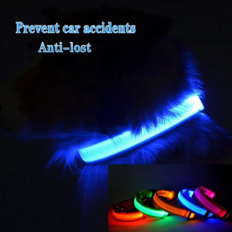 LED Glow In The Dark Dog Collar