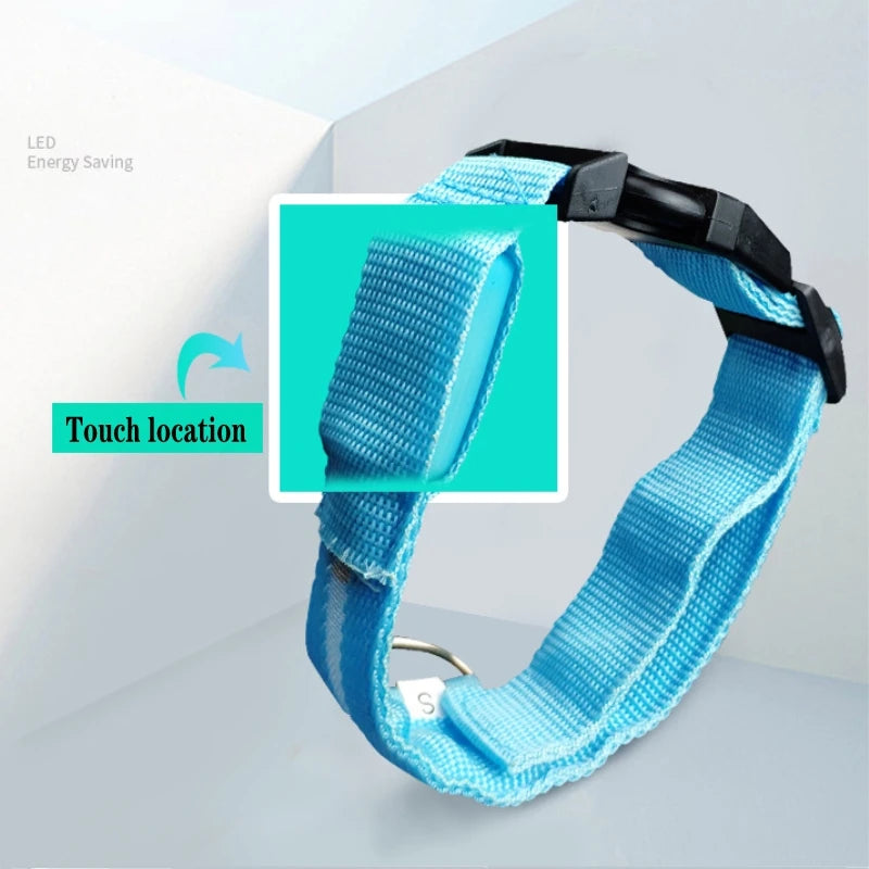 LED Glow In The Dark Dog Collar
